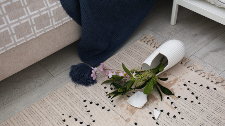 Carpet and Rug Cleaning Company Costs in Massapequa