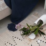 sofa cleaning service