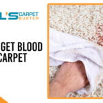 How to Get Blood out Of Carpet?
