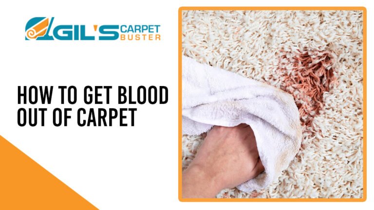 How to Get Blood out Of Carpet?