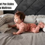How to Get Pee Stains Out of a Mattress