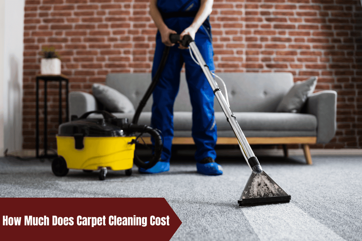 How Much Does Carpet Cleaning Cost
