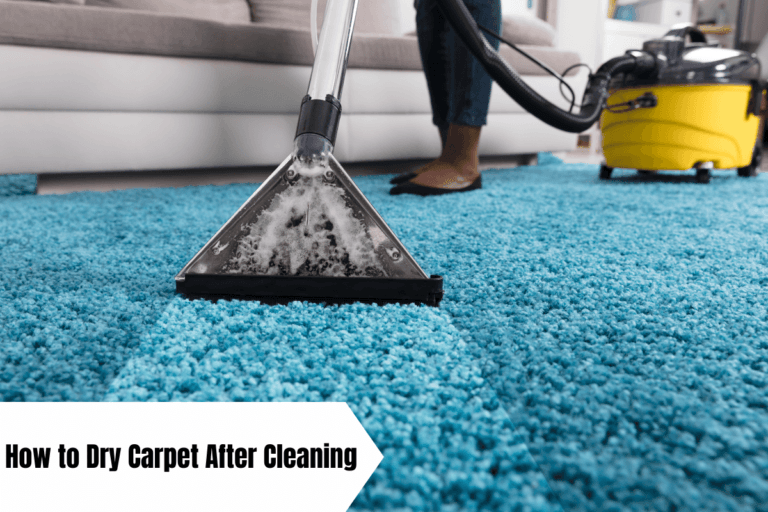 How to Dry Carpet After Cleaning