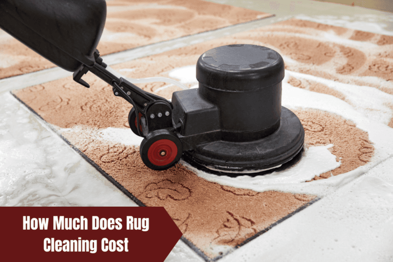 How Much Does Rug Cleaning Cost
