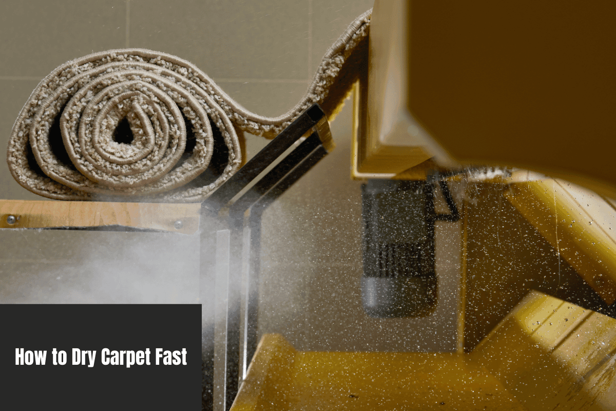 How to Dry Carpet Fast