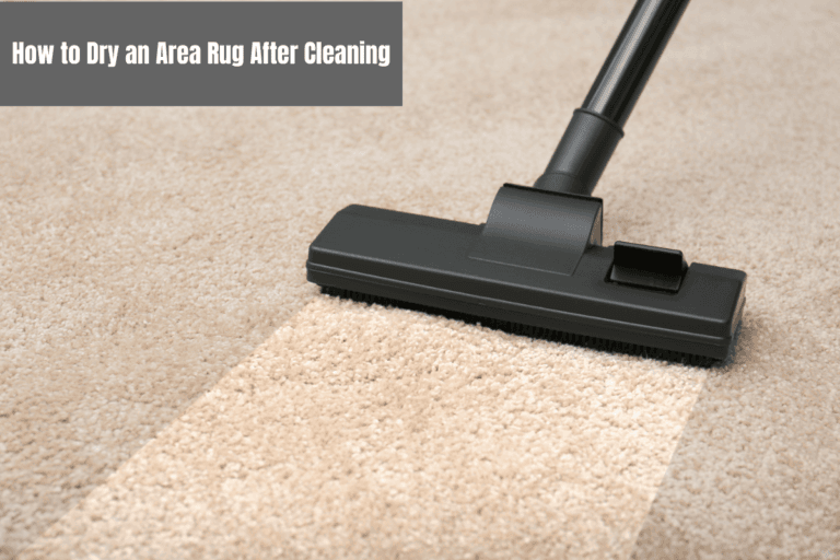 How to Dry an Area Rug After Cleaning